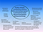 streszczenie graficzne