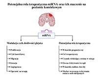Streszczenie graficzne