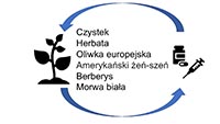 Streszczenie graficzne
